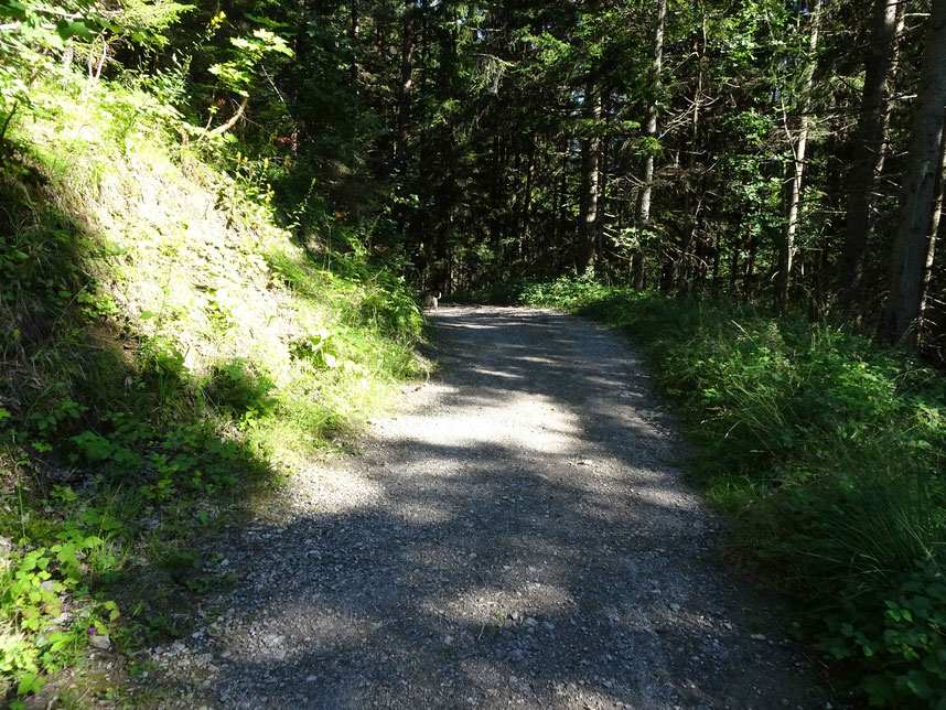 Weg1 von Techendorf nach Neusach