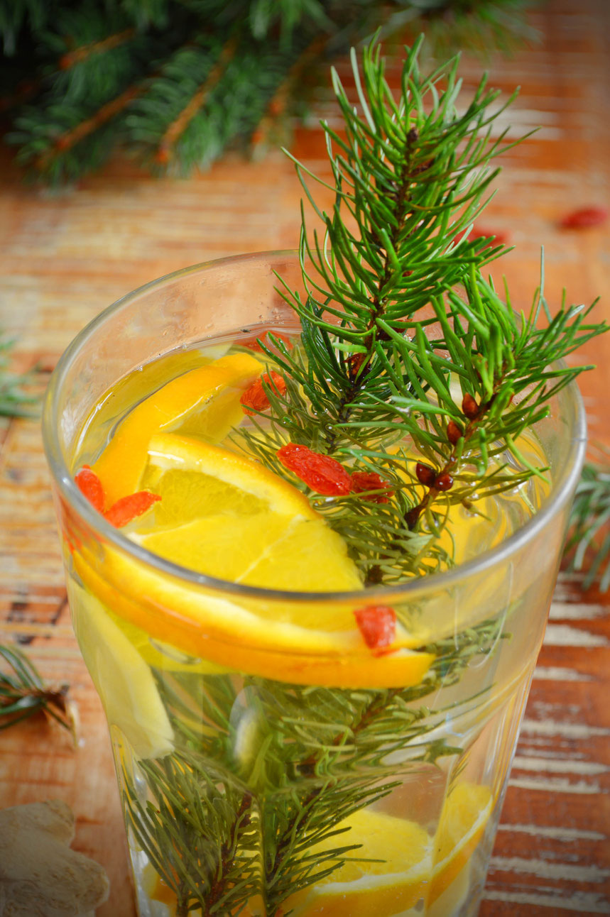 Fichte, Fichtennadeln, Getränk, Tee, Orange, Ingwer, heiß, Winter, Zutaten, Rezept, Immunsystem, Claudia Sprungk