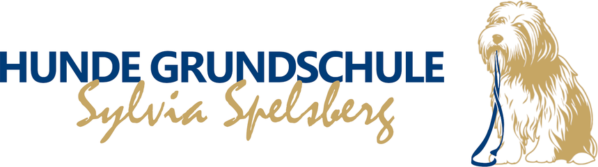 Hunde-Grundschule Düsseldorf - Hundetraining