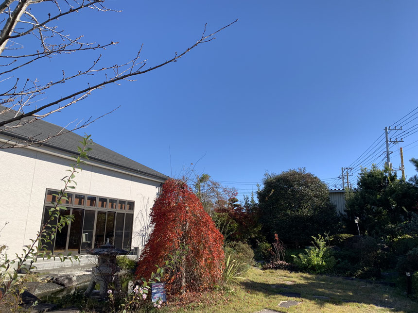 料亭きのえねの美しい紅葉