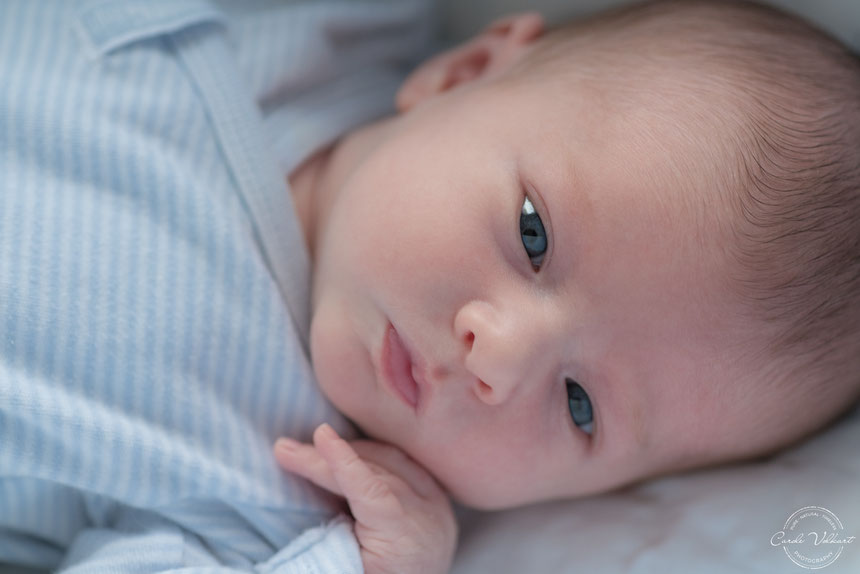 Neugeborenenfotografie, Babyfotografie, Babyfotos, Zuhause, Newbornshooting, Newbornfotografie, Babyshooting, Babyfotograf, Newbornfotograf, Baby Fotoshooting, Homestory, Homeshooting
