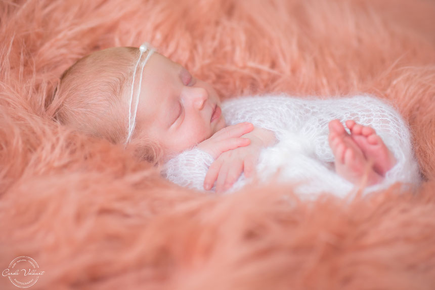 Newborn Fotoshooting, Neugeborenenfotografie, Babyshooting, Neugeborenenfotografin