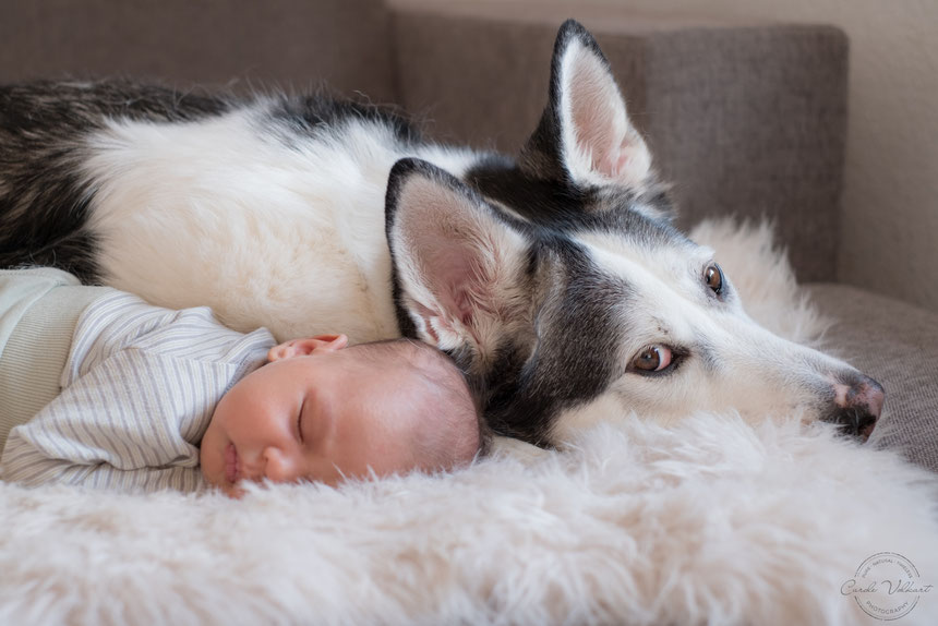 Neugeborenenfotografie, Babyfotografie, Babyfotos, Zuhause, Newbornshooting, Newbornfotografie, Babyshooting, Babyfotograf, Newbornfotograf, Baby Fotoshooting, Homestory, Homeshooting