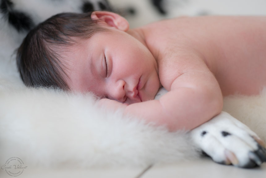 Neugeborenenfotografie, Babyfotografie, Babyfotos, Zuhause, Newbornshooting, Newbornfotografie, Babyshooting, Babyfotograf, Newbornfotograf, Baby Fotoshooting, Homestory, Homeshooting, Hundeshooting, Dalmatiner