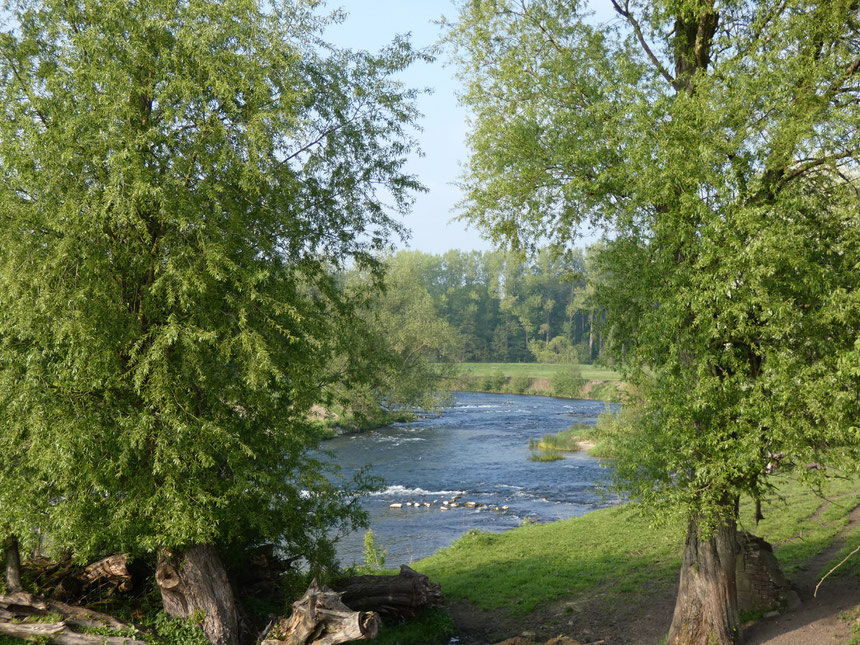 die Lippe bei Haus Vogelsang Datteln