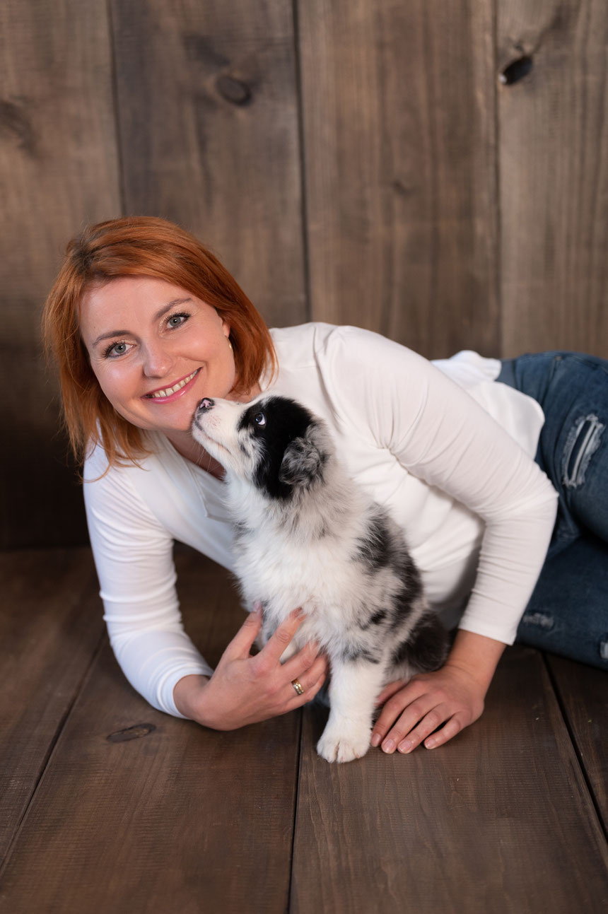 Australian Shepherd Welpen Kaufen Osterreich Australian Shepherd Zuchter Tirol Niederndorf Bei Kufstein Aussie Welpen Australian Shepherd Welpen Kaufen Osterreich Australian Shepherd Zuchter Tirol Niederndorf Bei Kufstein Aussie Welpen
