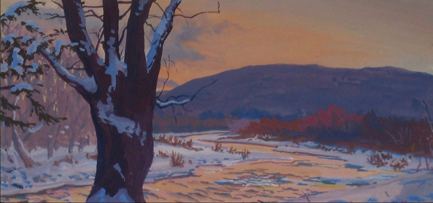 Early Morning Willow