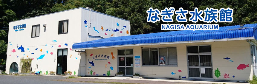 なぎさ水族館