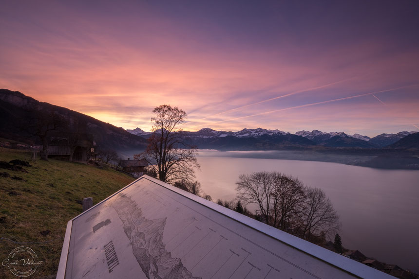 Niesen, Thunersee, Thun, Morgenrot, Sonnenaufgang, Berge, Alpen, Schweizer Alpen, Spiez, Sigriswil, Nebelschwaden