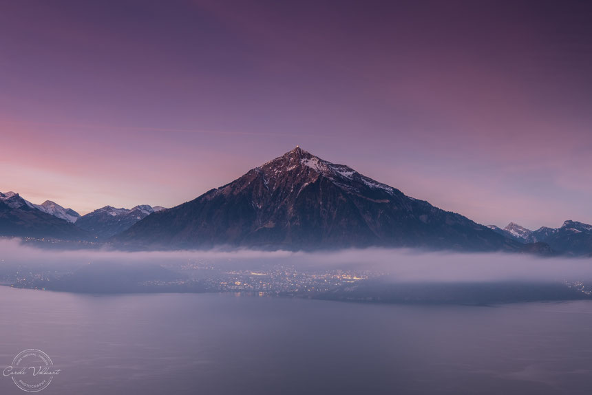 Niesen, Thunersee, Thun, Morgenrot, Sonnenaufgang, Berge, Alpen, Schweizer Alpen, Spiez, Sigriswil, Nebelschwaden