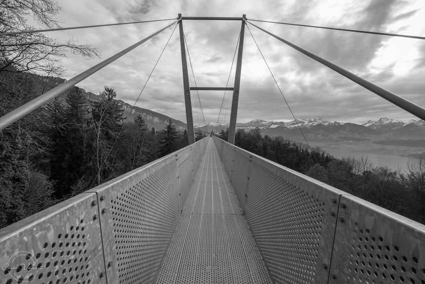 Panoramabrücke Sigriswil, Hängebrücke Sigriswil, Niesen, Thunersee, Thun, Spiez, Sigriswil