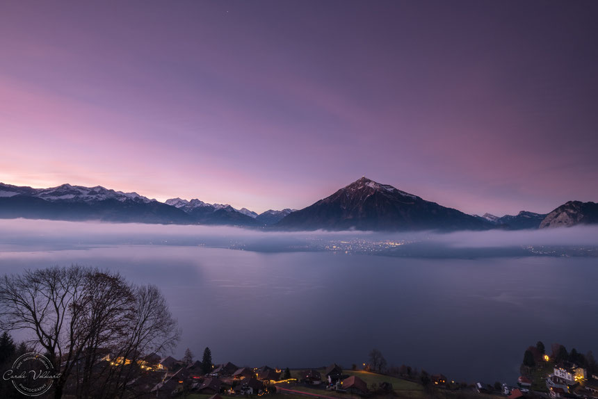 Niesen, Thunersee, Thun, Morgenrot, Sonnenaufgang, Berge, Alpen, Schweizer Alpen, Spiez, Sigriswil, Nebelschwaden