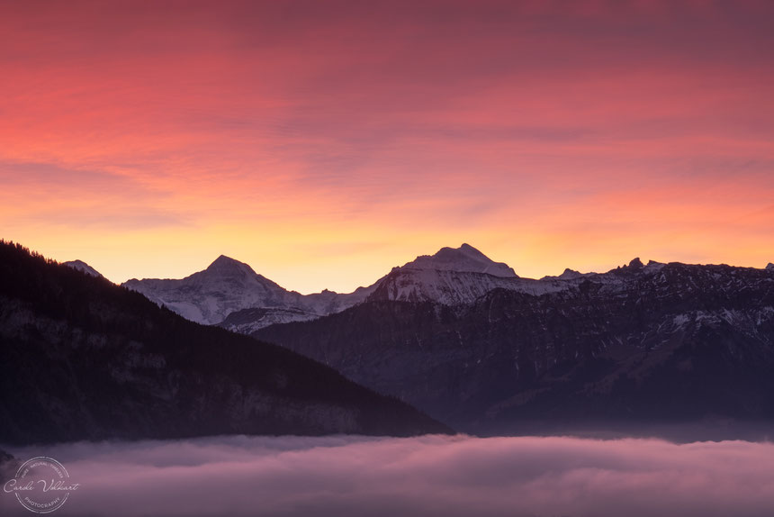 Eiger, Mönch, Jungfrau, Niesen, Thunersee, Thun, Morgenrot, Sonnenaufgang, Berge, Alpen, Schweizer Alpen, Spiez, Sigriswil, Nebelschwaden
