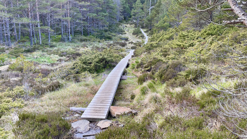 Auf dem Weg zum Leuchtturm