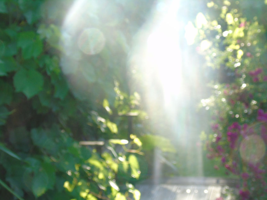 Ich bin dein Engel der tröstenden Worte, Quelle: www.lichtwesenfotografie.com