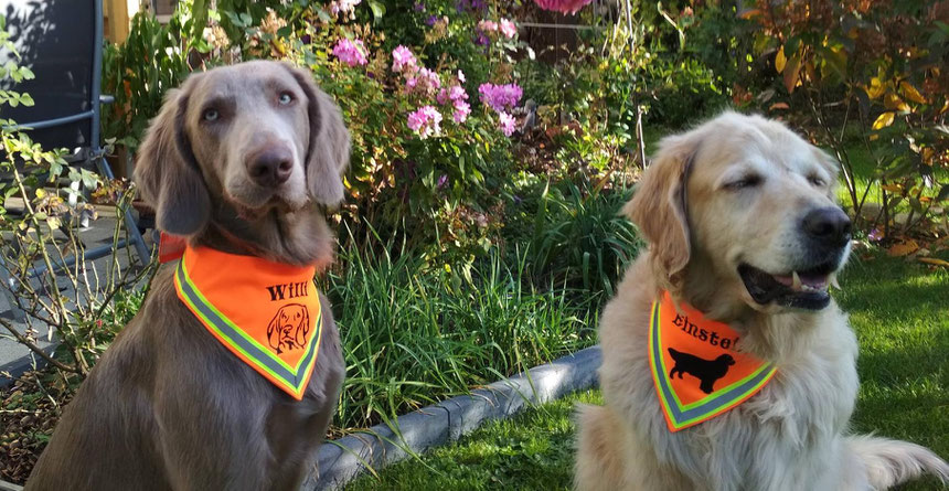 Halstucher Fur Hunde Reflektierend Made By Textilfashion