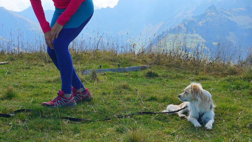 hiking and trail running shoes, dog