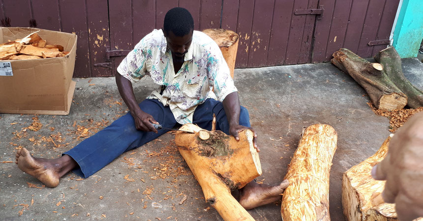 Herstellung von Zimt aus der Rinde des Zimtbaums