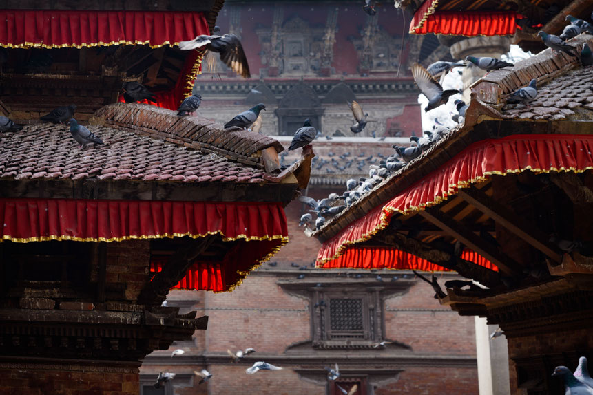 Walter Schwab Fotografie Nepal