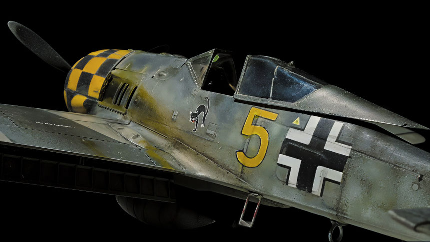 Focke Wulf Fw 190 A/5 Border Models kit 1/35