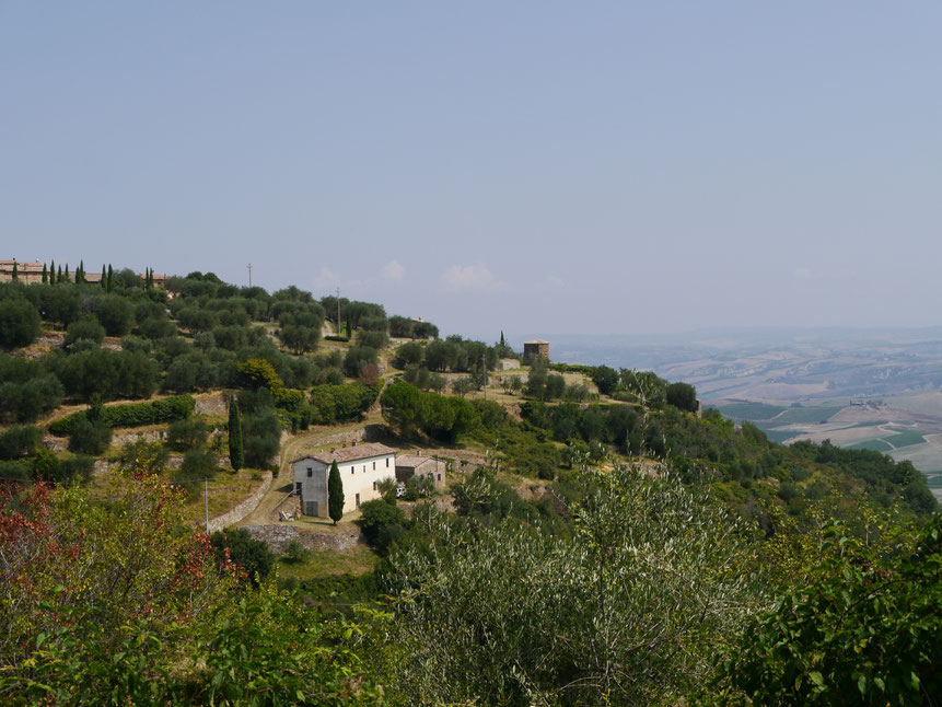 Der Hügel des Womo-Stellplatzes mit einem ersten kleinen Blick auf den Ortsrand von Montalcino und einem herrlichen Blick ins Land