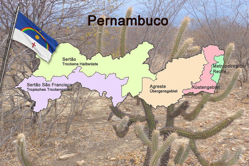 pernambuco, landkarte, flughafen recife, klimazonen, ortskundigenr reiseführer, serrita, brasilien, steppe, reiseprofis, brasilien reise, reisebericht