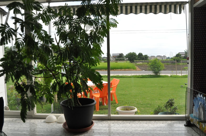 シュロッセの店舗画像2