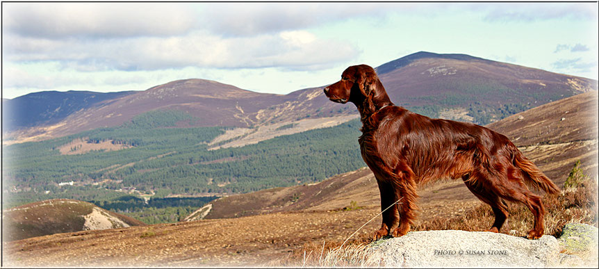 Glen, Top of the Cairngorms