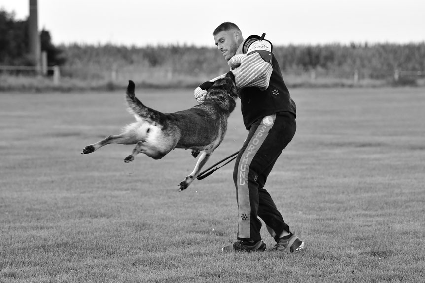 IGP Ausbildung Hundeschule Grehl