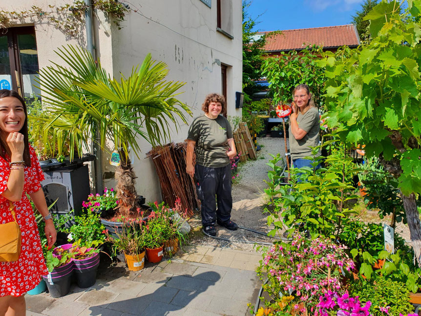 La jardinerie - 02 761 00 86 - La Serre Outil