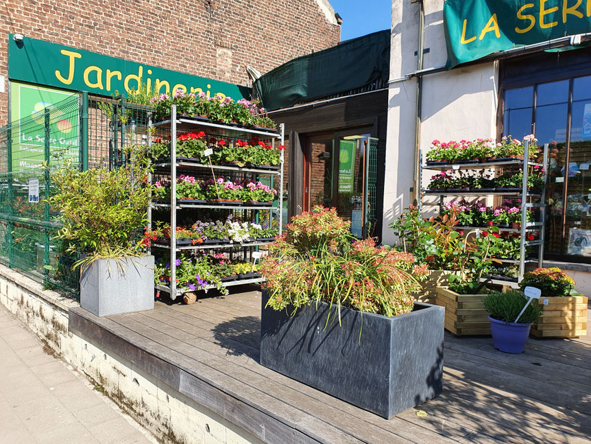 La jardinerie - 02 761 00 86 - La Serre Outil