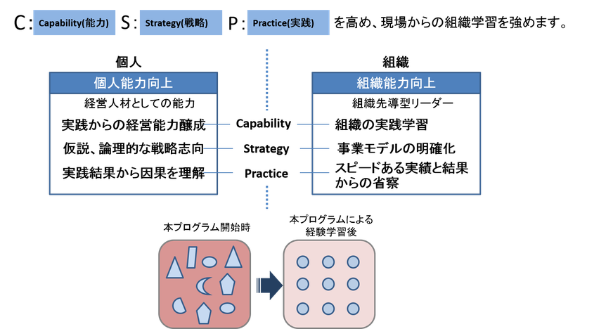 オペレーション　仮説　戦略　経営　リーダー　センシング　組織　学習　実践　進化