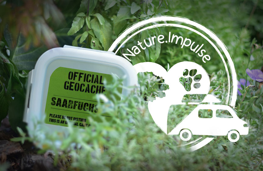 Nature.Impulse - Interview beim Saarfuchs