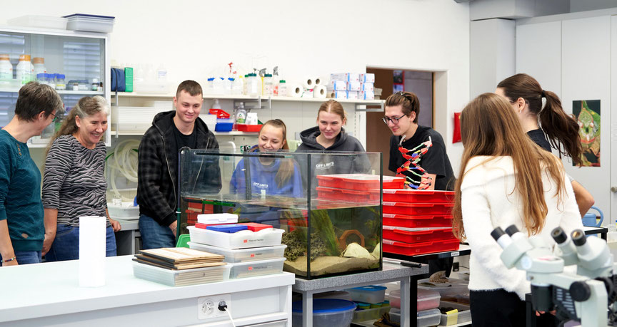 Chemie-Unterricht an der MSE