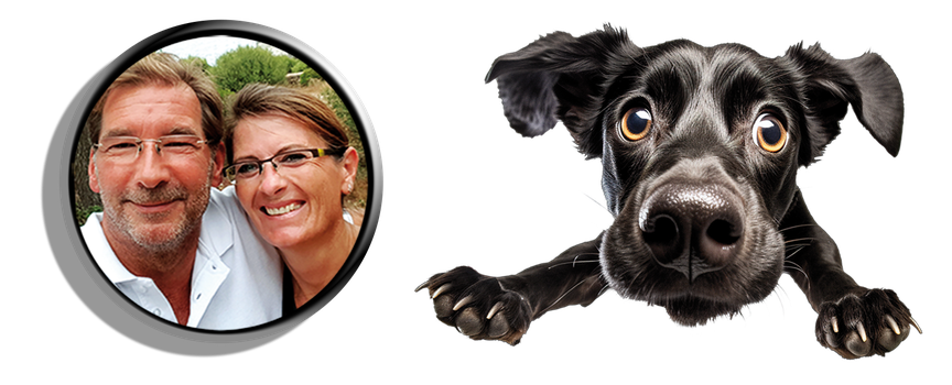DER BESTE HUNDETRAINER HUNDEERZIEHUNG WELPENSCHULE HUNDESCHULE HUNDETHERAPIE HUNDETHERAPEUT