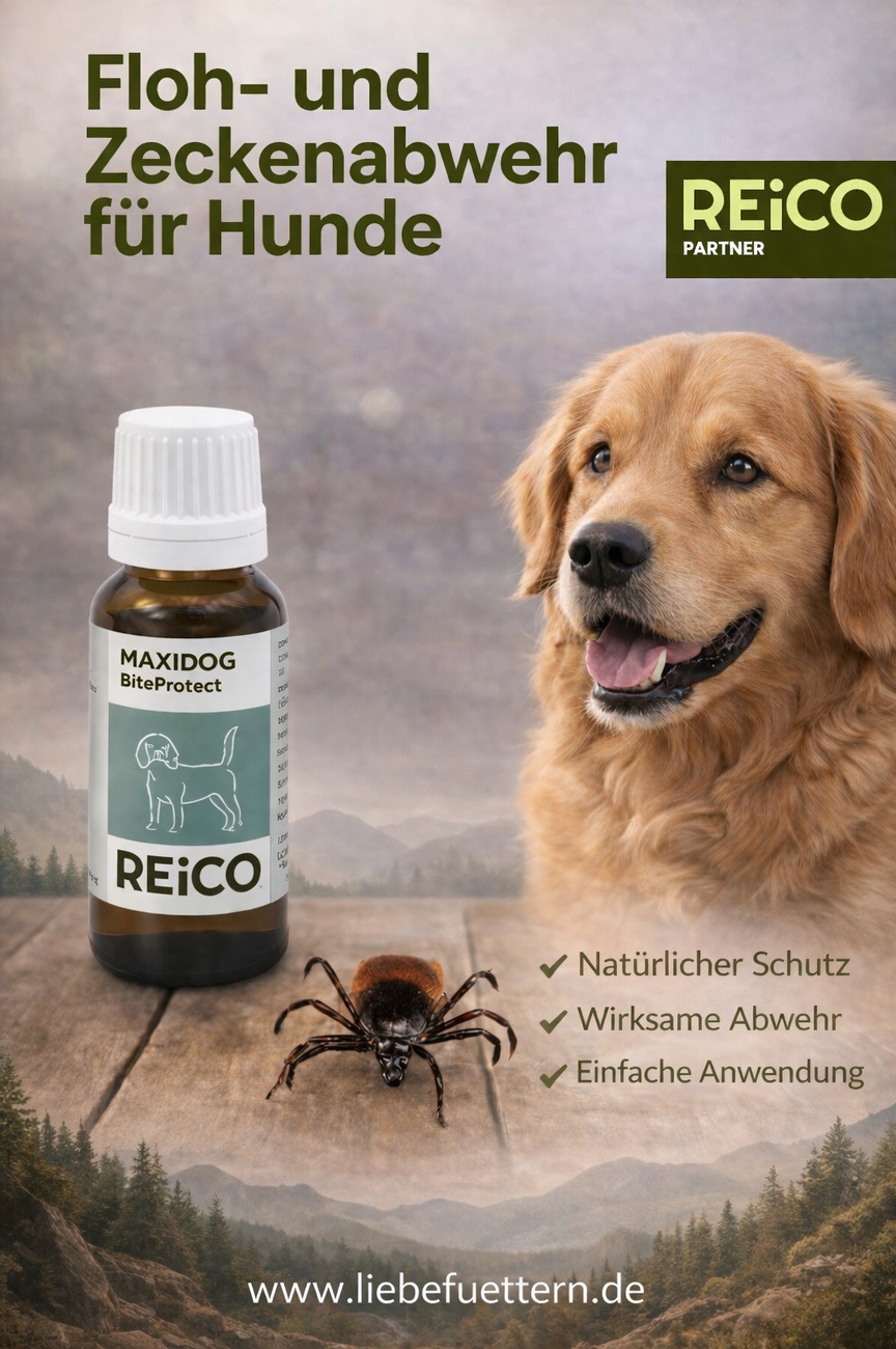 pure natur hundefutter Pure Nature ADULT RIND PUR mit Skartoffeln und pfel
