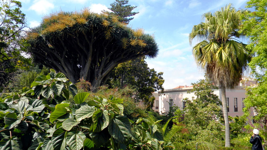 Jardín Botánico