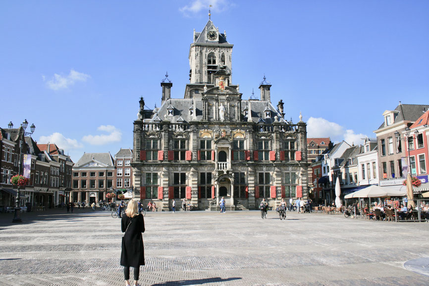 Delft Netherlands ofpenguinsandelephants of penguins & elephants town hall market square