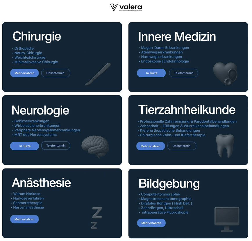 SEO für Tierarztpraxis – Google Optimierung und lokale Sichtbarkeit