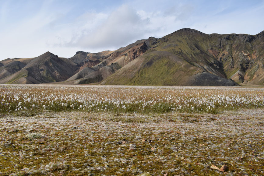 Suðurnámur from Vondugil