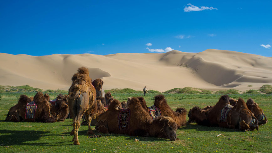 Gobi Desert Mongolia