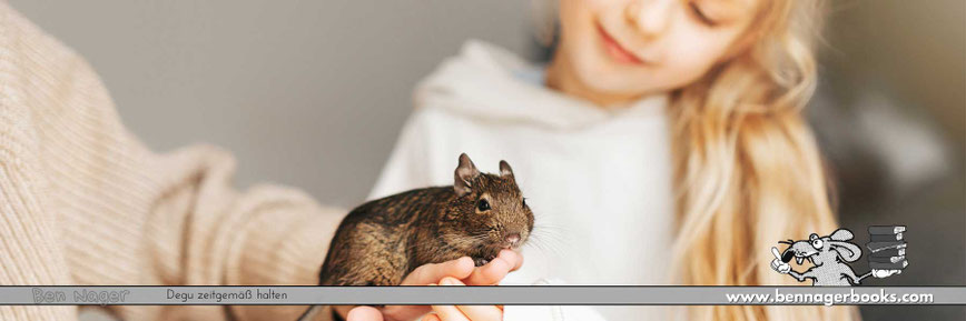 Degu Kaufen, Degu züchten, Degu verkaufen, Degu Käfig, Degu Käfig Einrichtung, Degu Haltung, Degus als Haustier, Strauchratte, Octodon degus, Degu Babys, Tierschutz, Nagetiere, Ben Nager, Bennagerbooks
