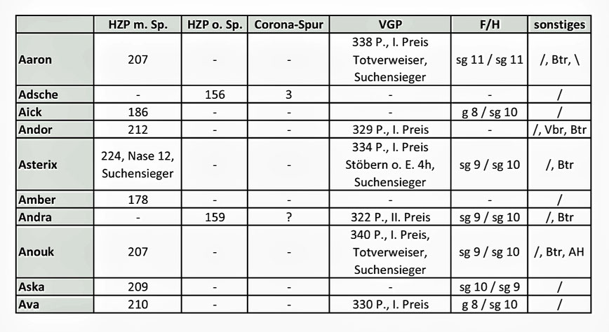 Stand 12/2021