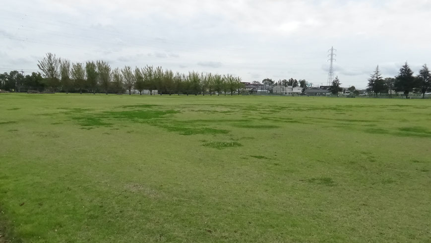 長沼池は埋め立てられ、いまは住宅団地やグラウンド。その広さに昔日の面影が残る