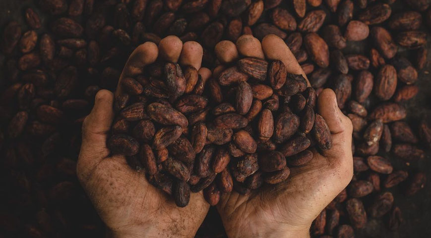 Cacao Meditation, Raw Cacao, Cacao Ceremony, Cacao Beans, Ceremonial Cacao from Bali, Peru & Bolivia