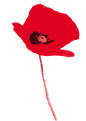 Site de editionsducoquelicot !