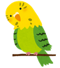 鳥