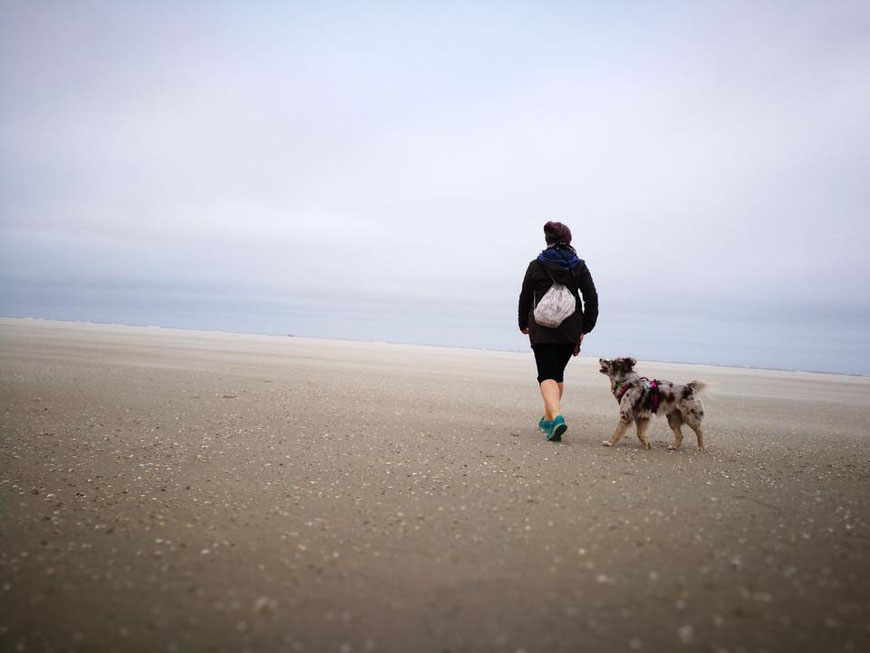 Mensch und Hund laufen am Strand