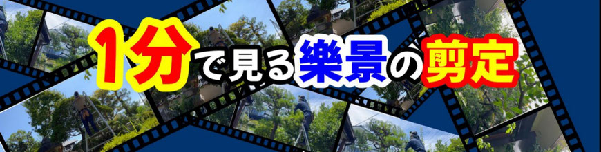 動画ページへ