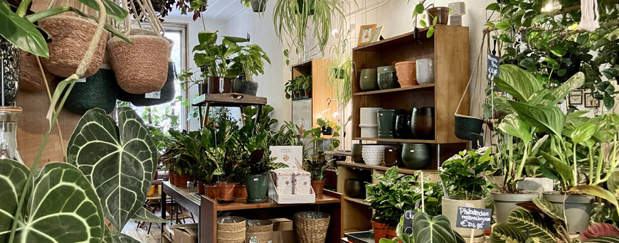 Foto van de winkel met planten op een tafel rechts, en vintage meubels en planten links.